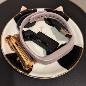 Fitbit Flex 2 with accessories